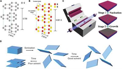 Interactions Between 2D Materials and Living Matter: A Review on Graphene and Hexagonal Boron Nitride Coatings